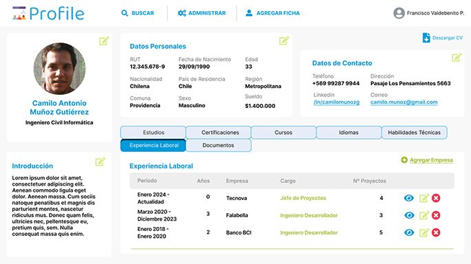 Experiencia Laboral - Profile